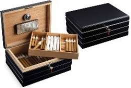 Egoist Elegance W Line